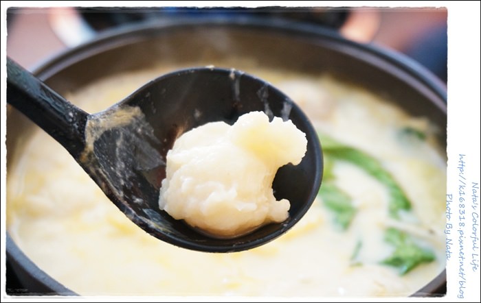 【美食♔台南北區】珍杏擱牛奶鍋物。無時無刻就是想吃鍋物！使用綠光牧場鮮奶～喜愛吃牛奶鍋的你，錯過就可惜囉！