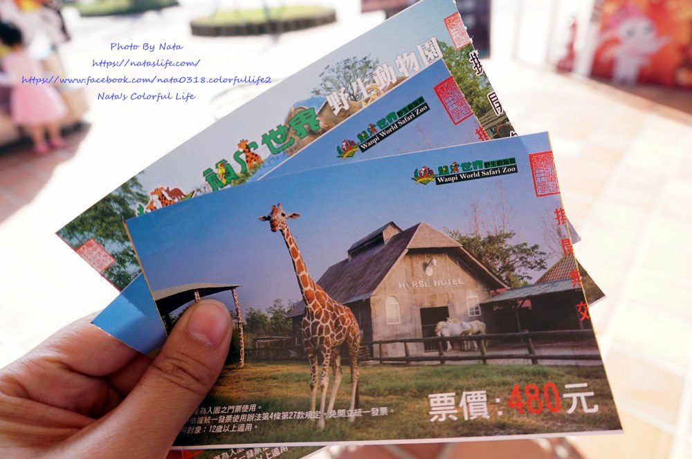 台南旅遊│台南學甲│頑皮世界野生動物園。全台就這有南美水豚近距離餵食秀、還有新人氣王藪(ㄙㄡˇ)貓～增加孩子與動物之間親近