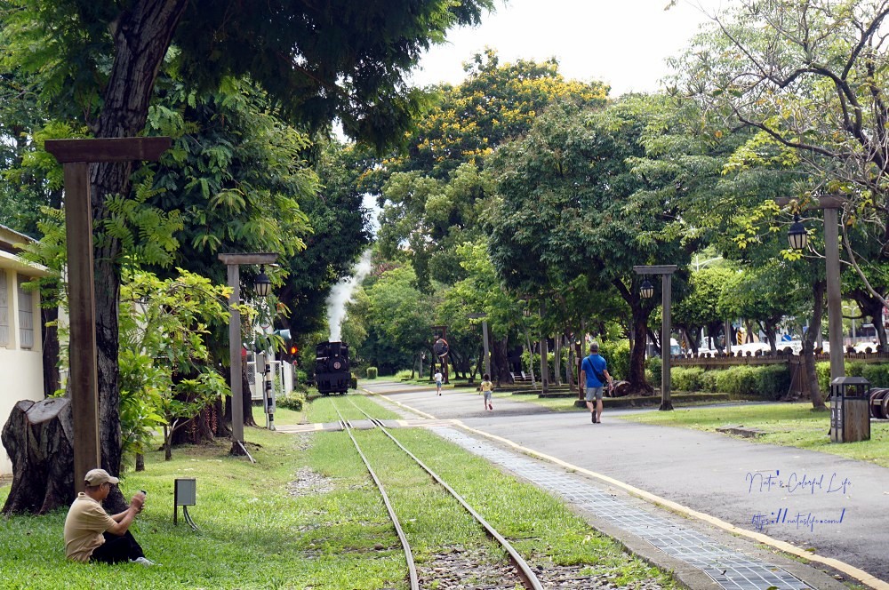 嘉義輕旅行一日遊